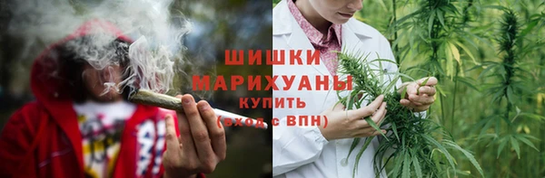 PSILOCYBIN Балахна