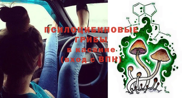 PSILOCYBIN Балахна