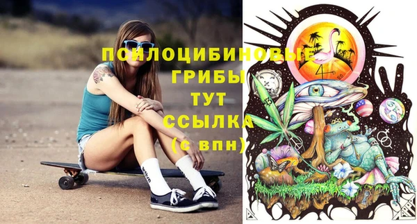 стафф Баксан