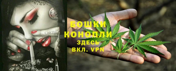 стафф Баксан