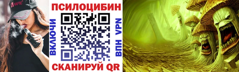 Галлюциногенные грибы Psilocybe  где найти наркотики  Лобня 